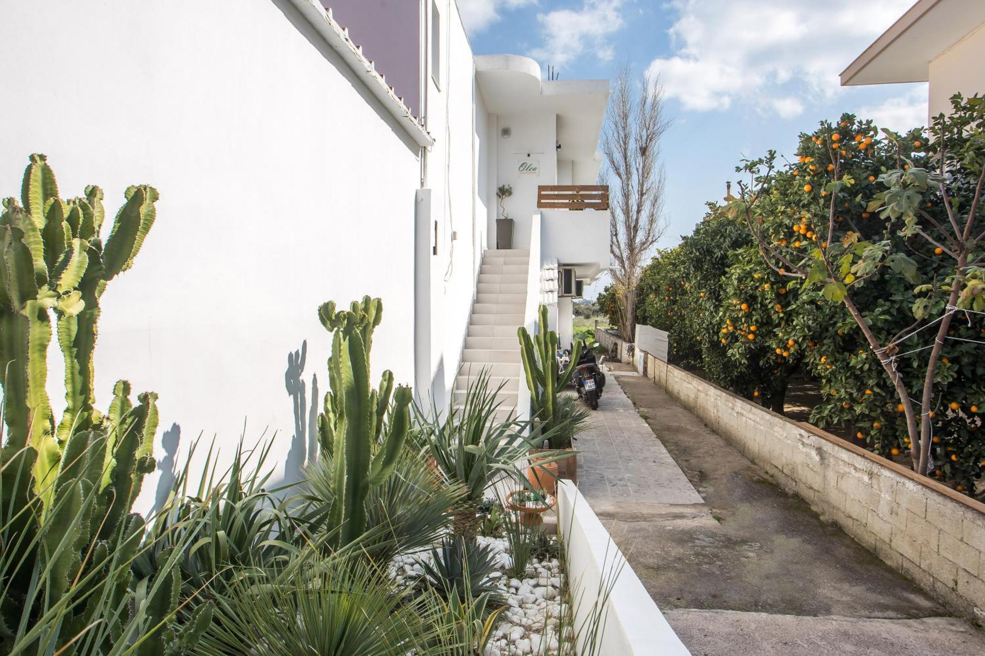 Olea Luxury Apartment Afantou Exterior foto